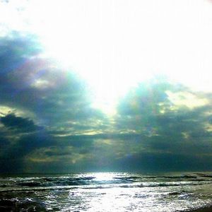 Meet your Posher, Laurie